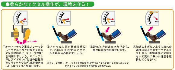 install-adobe-flash-player